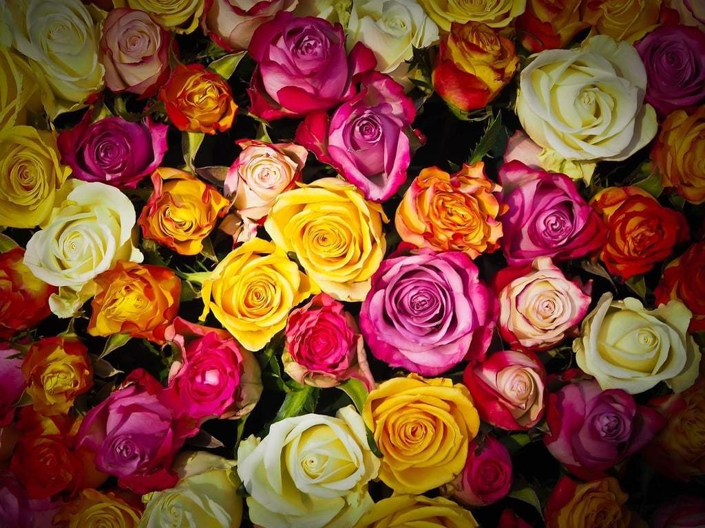 Ce que vous payez vraiment en commandant un bouquet